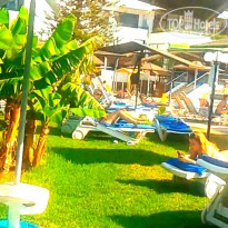 фото из отзыва ID 1928728