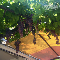 фото из отзыва ID 1928793