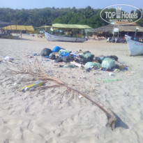 фото из отзыва ID 1928813