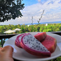 фото из отзыва ID 1928825