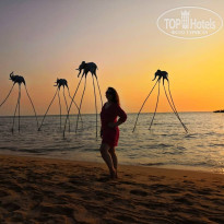 фото из отзыва ID 1928825