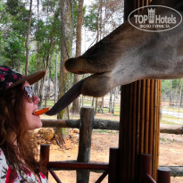 фото из отзыва ID 1928825