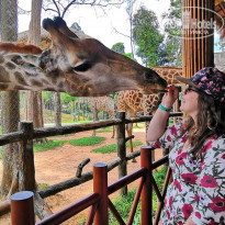 фото из отзыва ID 1928825