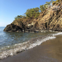 фото из отзыва ID 1928855