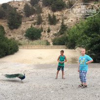 фото из отзыва ID 1928870