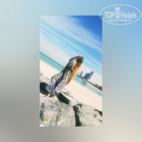 фото из отзыва ID 1928872