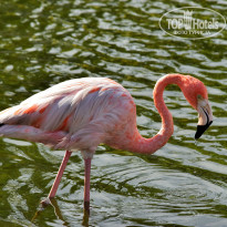 фото из отзыва ID 1928963