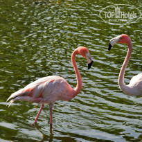 фото из отзыва ID 1928963