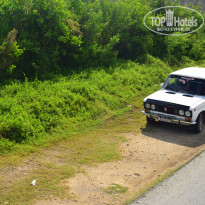 фото из отзыва ID 1928963