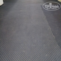 фото из отзыва ID 1929010