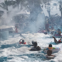 фото из отзыва ID 1929018