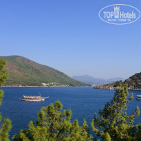 фото из отзыва ID 1929037