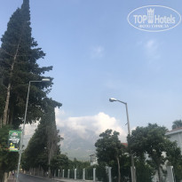 фото из отзыва ID 1929051