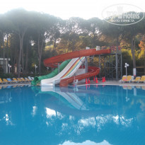 фото из отзыва ID 1929108