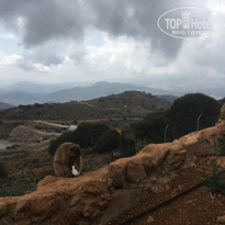 фото из отзыва ID 1929119