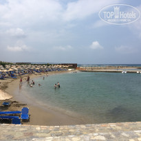 фото из отзыва ID 1929119