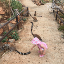 фото из отзыва ID 1929119