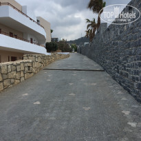 фото из отзыва ID 1929119