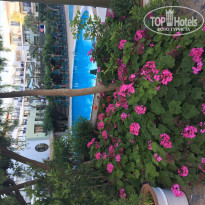 фото из отзыва ID 1929119