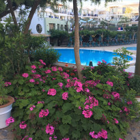 фото из отзыва ID 1929119