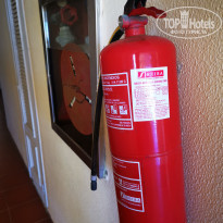 фото из отзыва ID 1929136