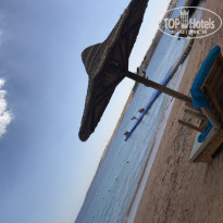 фото из отзыва ID 1929151