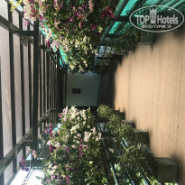 фото из отзыва ID 1929395