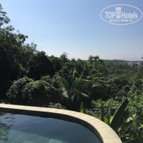 фото из отзыва ID 1929474