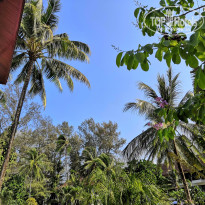 фото из отзыва ID 1929465