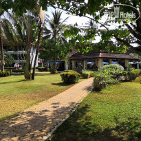 фото из отзыва ID 1929465