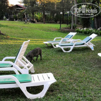 фото из отзыва ID 1929465