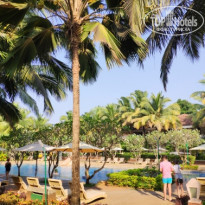 фото из отзыва ID 1929510