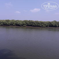 фото из отзыва ID 1929627