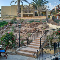 фото из отзыва ID 1929652