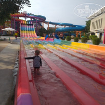 фото из отзыва ID 1929649