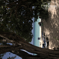 фото из отзыва ID 1929657