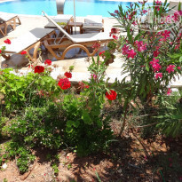 фото из отзыва ID 1929696