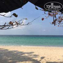 фото из отзыва ID 1929732