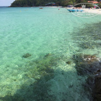 фото из отзыва ID 1929732