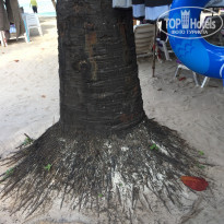 фото из отзыва ID 1929732