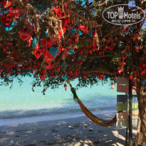 фото из отзыва ID 1929732