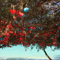 фото из отзыва ID 1929732