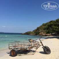 фото из отзыва ID 1929732