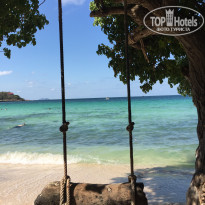 фото из отзыва ID 1929732