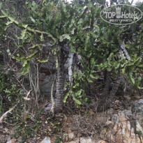 фото из отзыва ID 1929732