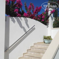 фото из отзыва ID 1929746