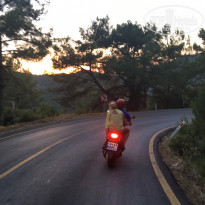 фото из отзыва ID 1929822