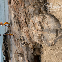 фото из отзыва ID 1929890