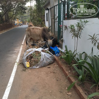 фото из отзыва ID 1929890