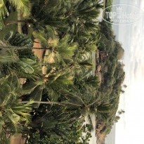 фото из отзыва ID 1929881